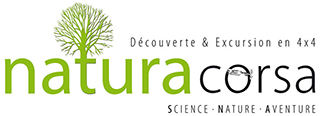 Natura Corsa